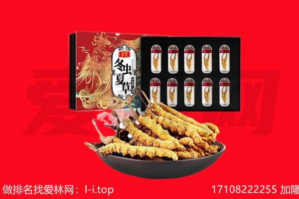 哈尔滨香坊区回收虫草.jpg